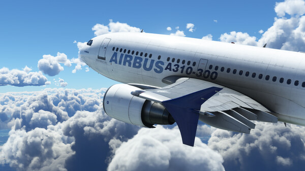 Microsoft Flight Simulator screenshot 4