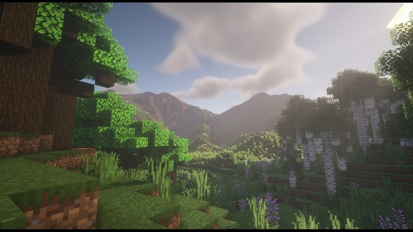 Minecraft screenshot 2
