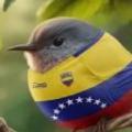 diciloncar21
