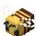 Brabra